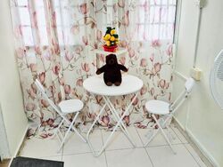Blk 284 Choa Chu Kang Avenue 3 (Choa Chu Kang), HDB 4 Rooms #507910801